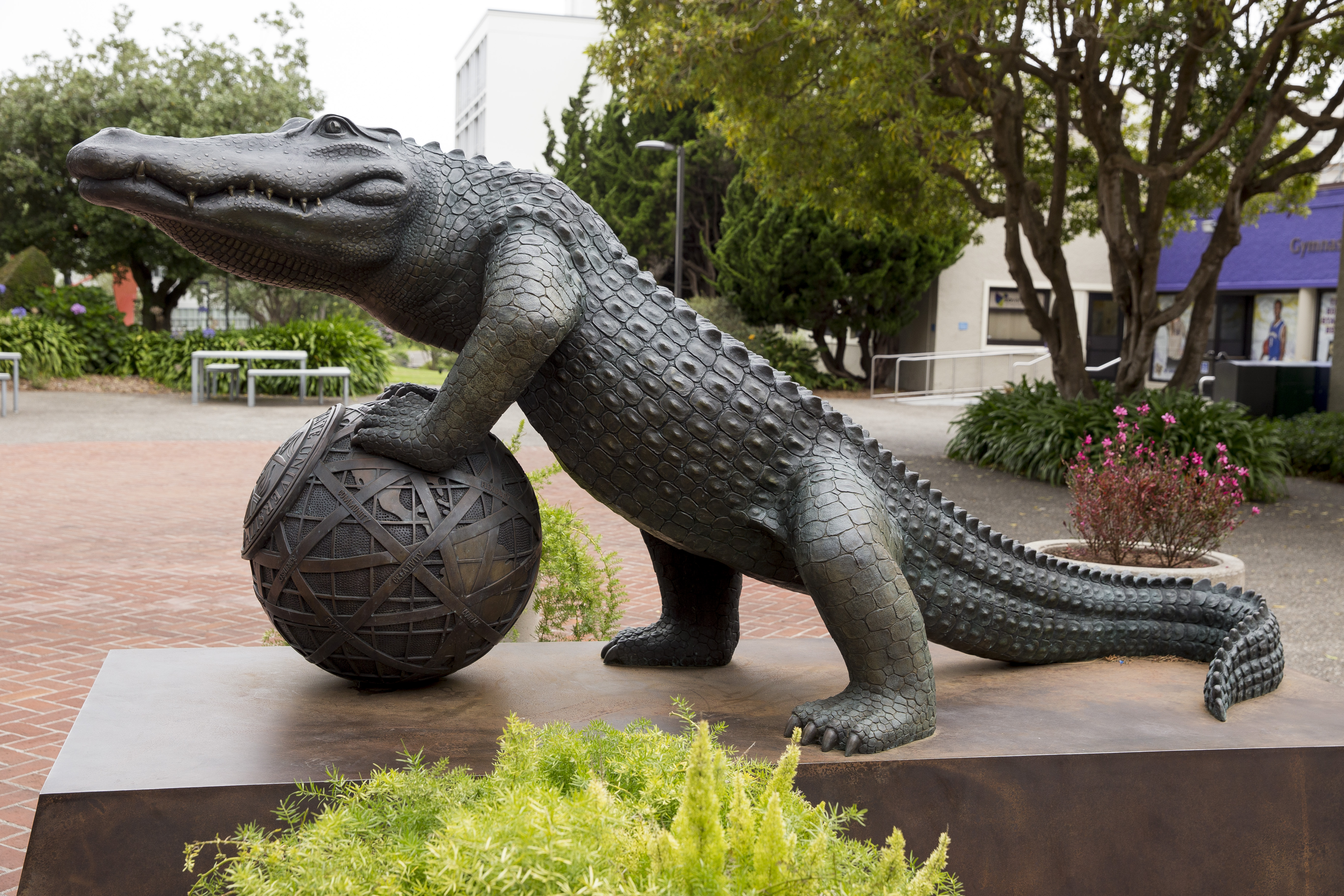 a bronze statue of the SFSU Mascot a gator